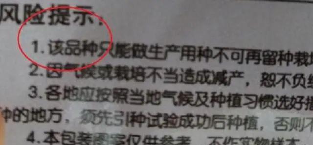 ”背后原因没有想象的那么不堪……麻将胡了试玩平台种子“不得留种
