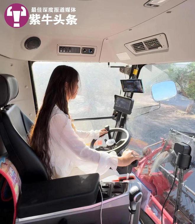 闯北免费为老人收割玉米被画成漫画走红麻将胡了app女农机手开着收割机走南(图3)