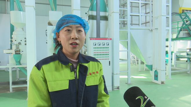 作社：发展有机杂粮系列产品 带动群众增收PG麻将胡了试玩平台龙鑫种植农民专业合(图6)