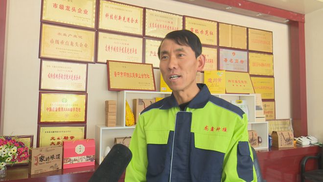 作社：发展有机杂粮系列产品 带动群众增收PG麻将胡了试玩平台龙鑫种植农民专业合(图7)