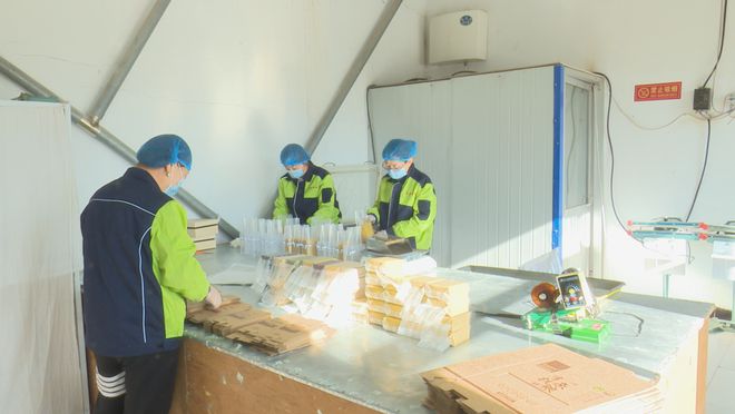 作社：发展有机杂粮系列产品 带动群众增收PG麻将胡了试玩平台龙鑫种植农民专业合(图9)